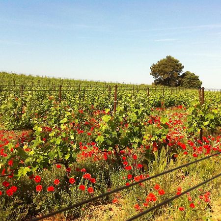 Maison De Margot Peyriac-Minervois Buitenkant foto
