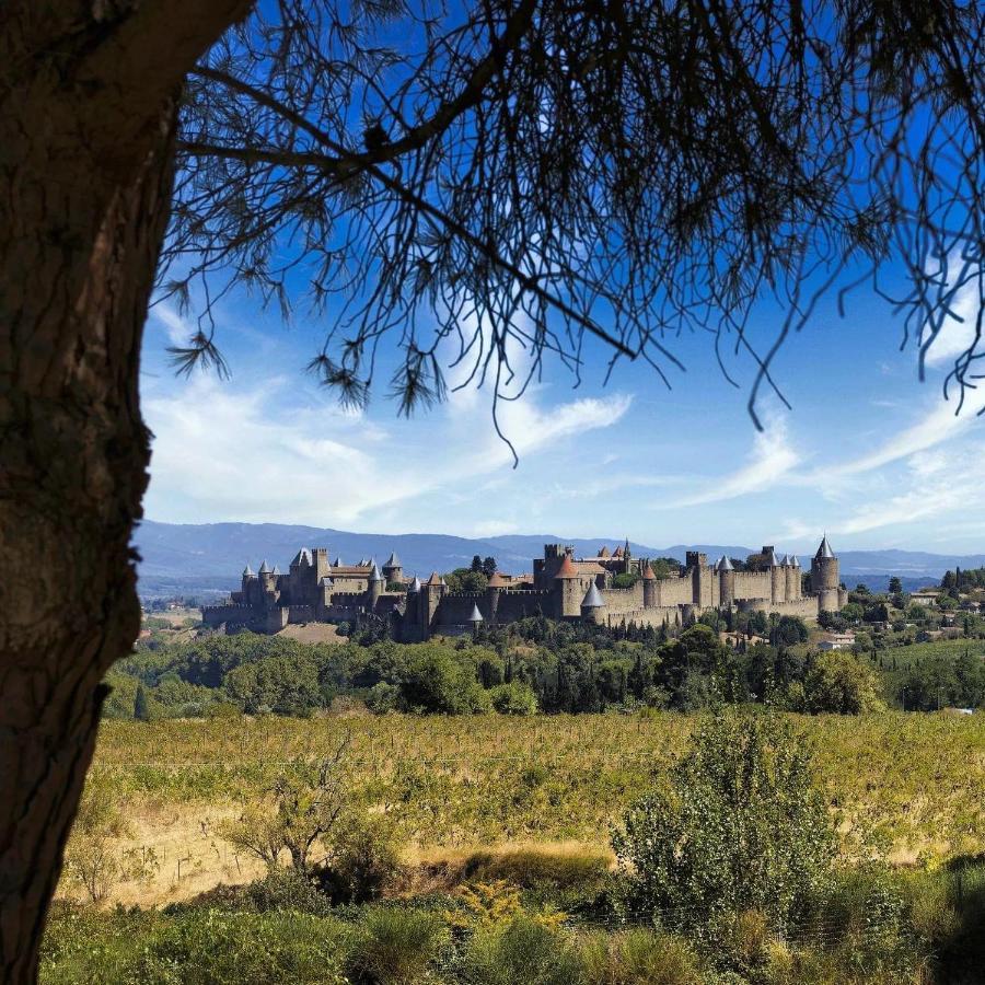 Maison De Margot Peyriac-Minervois Buitenkant foto
