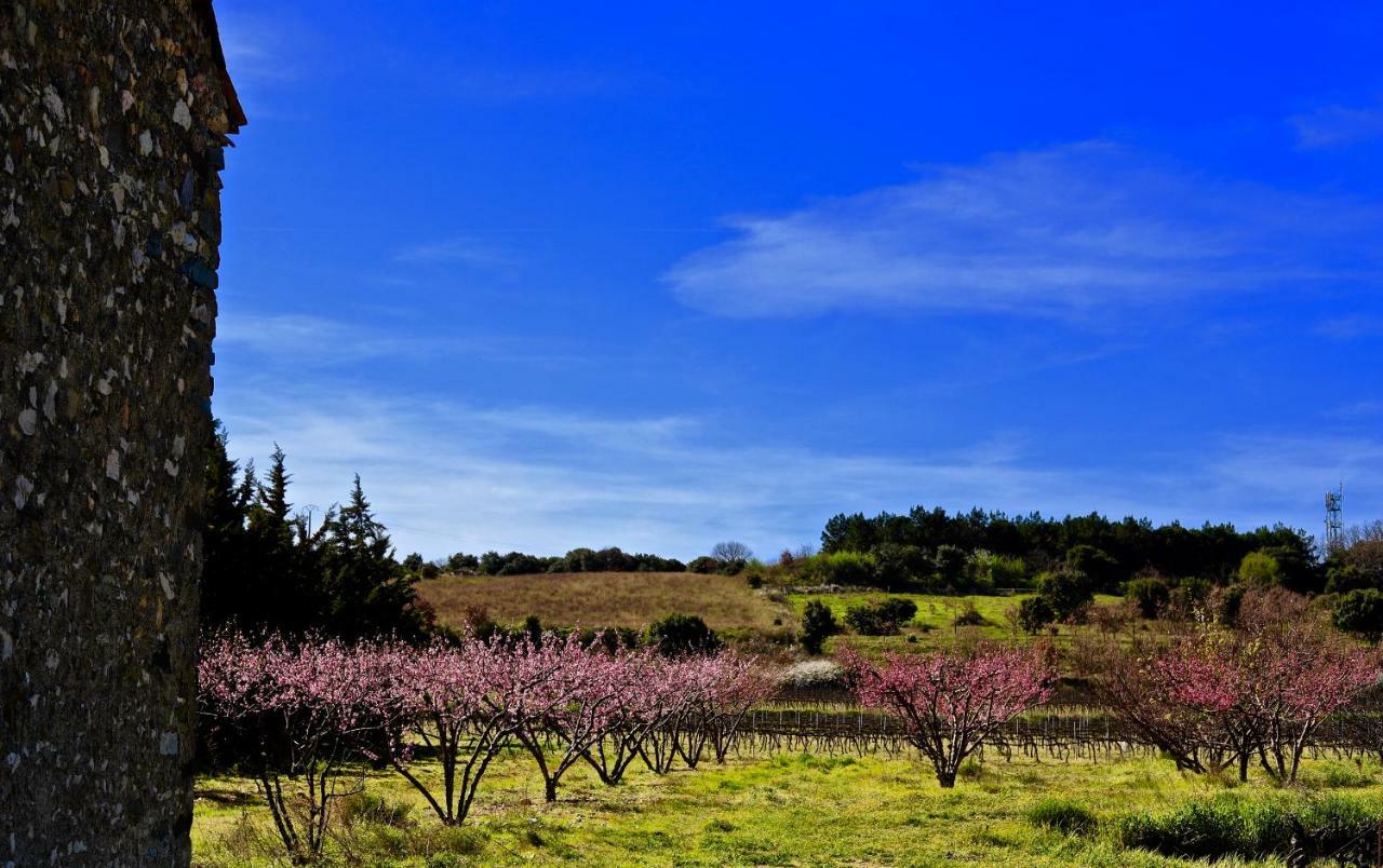 Maison De Margot Peyriac-Minervois Buitenkant foto